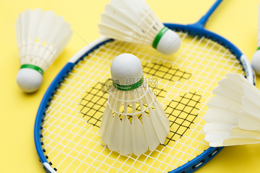 风中时常采 风中时常采