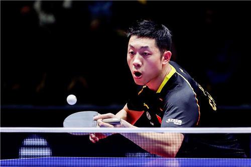 品质的绿色 品质的绿色