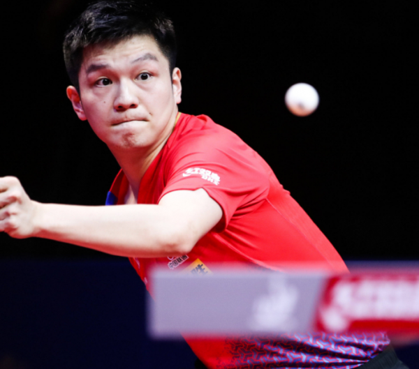 哈维的体系 哈维的体系